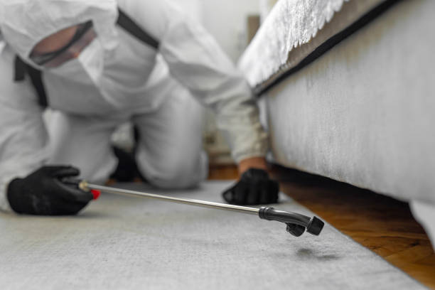 Professional Cockroach Control technician working in Woodford County County, IL